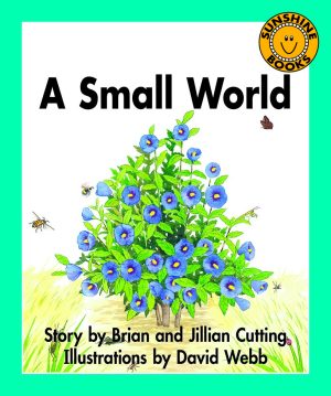 A Small World