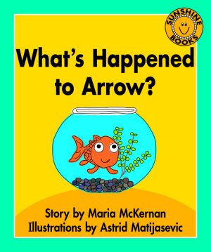 What's Happened to Arrow?