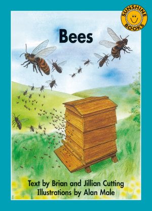 Bees
