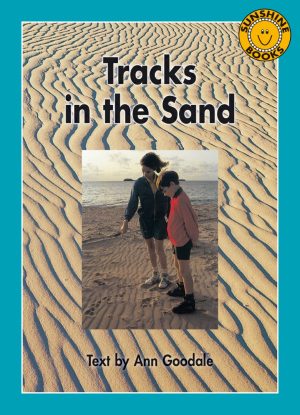 Tracks in the Sand