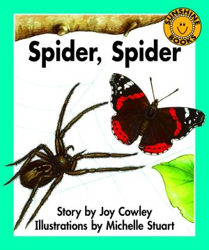 Spider, Spider