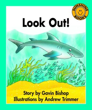 Look Out! – additional image