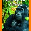 Endangered Animals