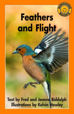 Feathers and Flight