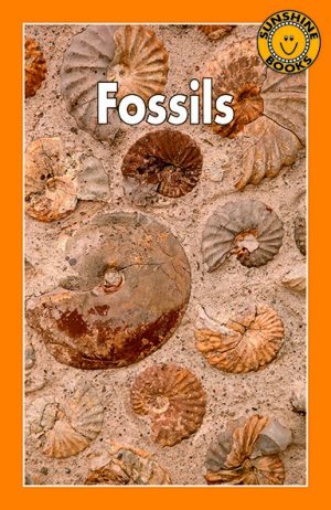 Fossils