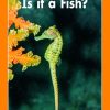 Is it a Fish?