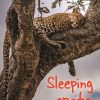 Sleeping spots