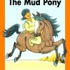 The Mud Pony