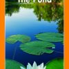 The Pond