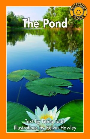 The Pond