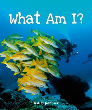 What Am I?