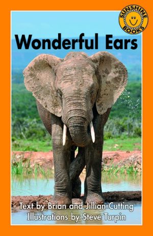 Wonderful Ears
